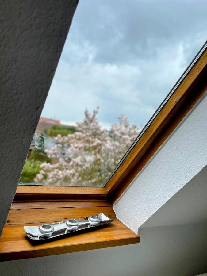 *To Hus* Wohnung Am Rande Von Jever Exterior foto